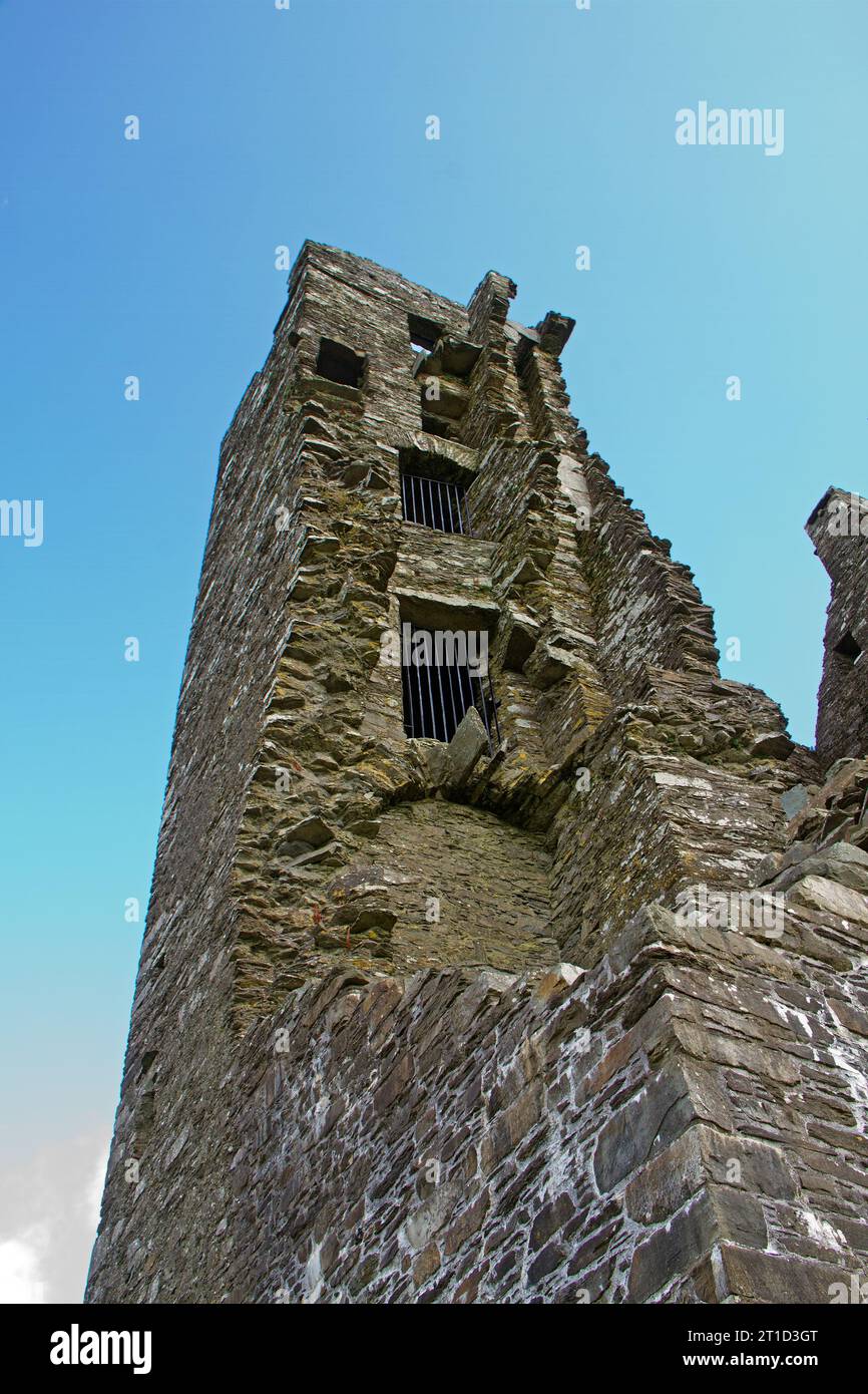 Hoher Turm der Ruinen der mittelalterlichen Burg Donovan vor blauem Himmel, West Cork, Irland Stockfoto