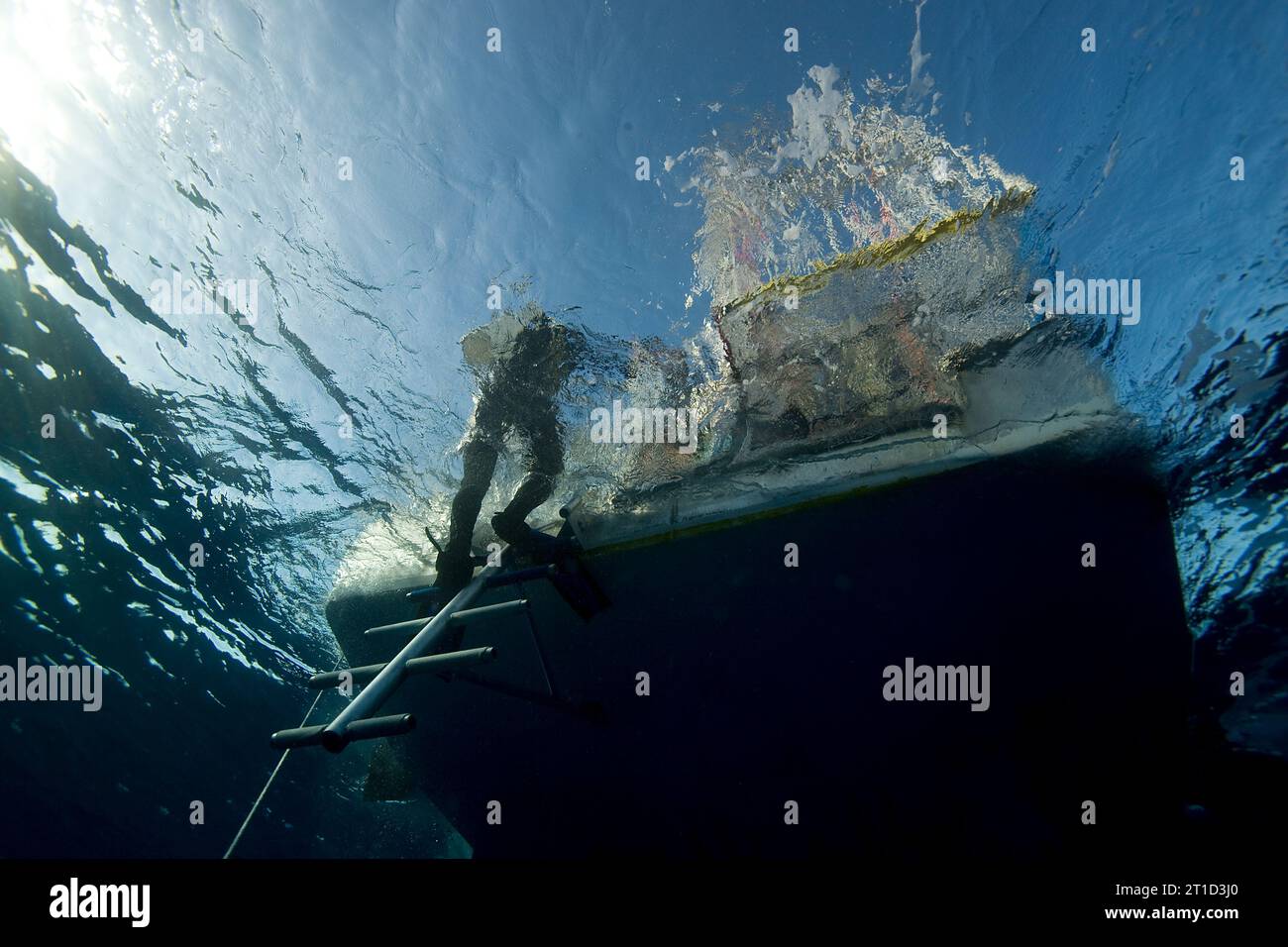 Unterwasserblick eines Tauchers, der die Tauchleiter hinaufklettert Stockfoto