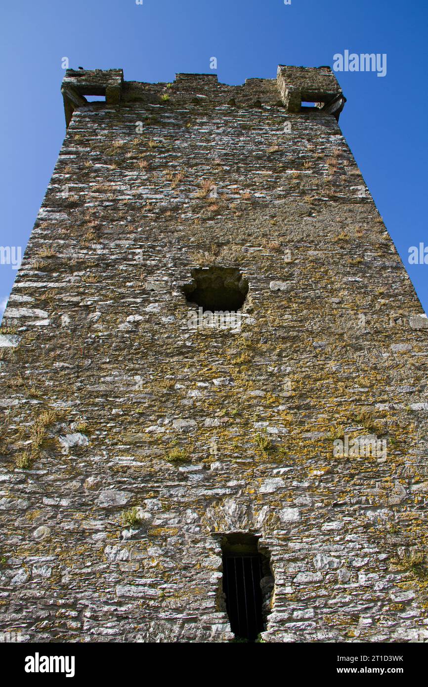 Hoher Turm der Ruinen der mittelalterlichen Burg Donovan vor blauem Himmel, West Cork, Irland Stockfoto