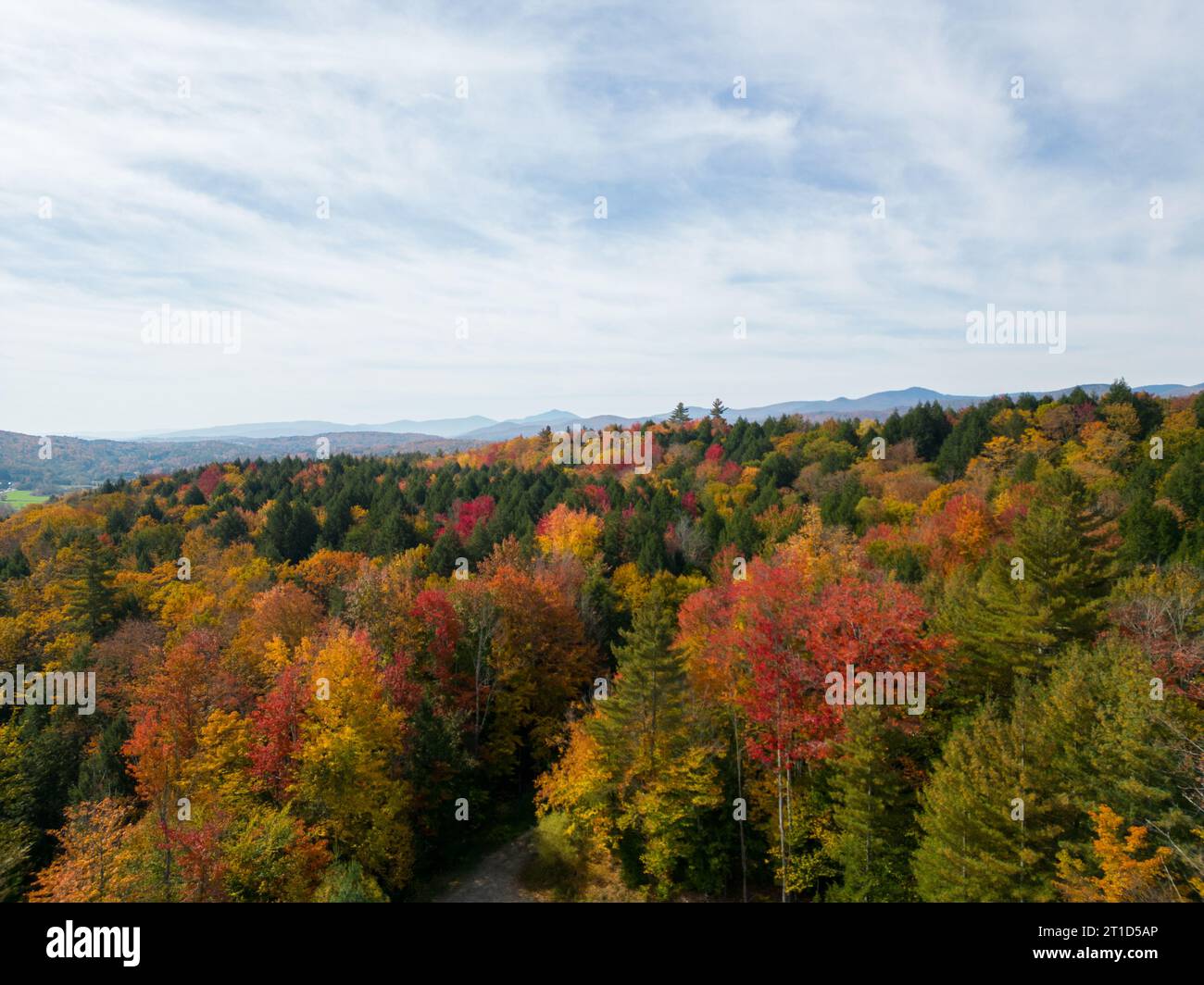Bunte Bäume während des Herbstes in Vermont Stockfoto
