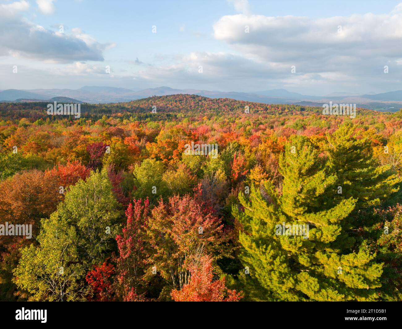 Sanfte Hügel von Vemront im Herbst Stockfoto