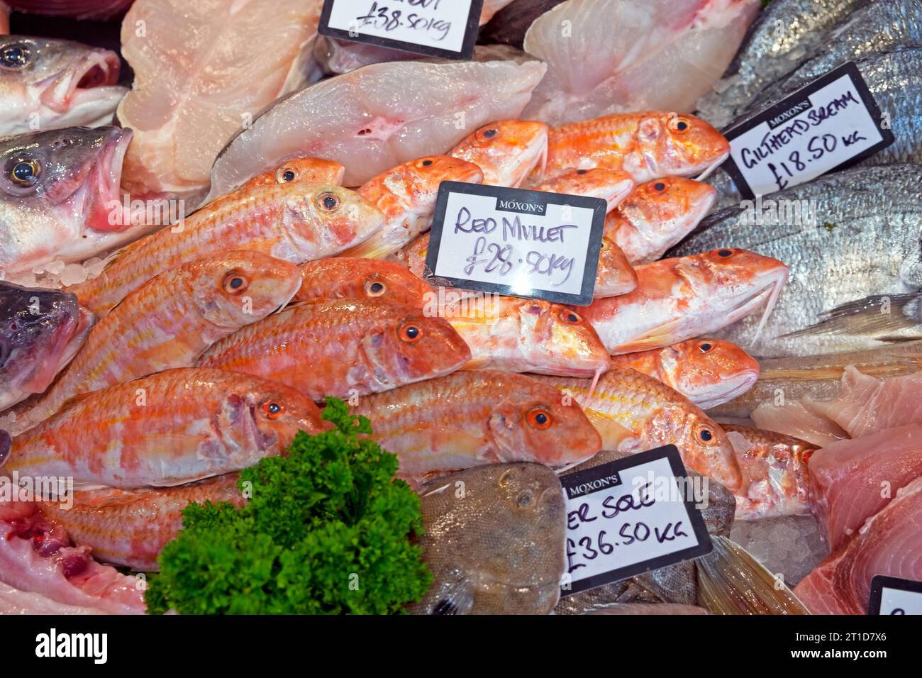 Frischer Fisch wird auf Eis an der Theke im Moxon's Fishmongers Shop in Lordship Lane East Dulwich London England Großbritannien KATHY DEWITT präsentiert Stockfoto