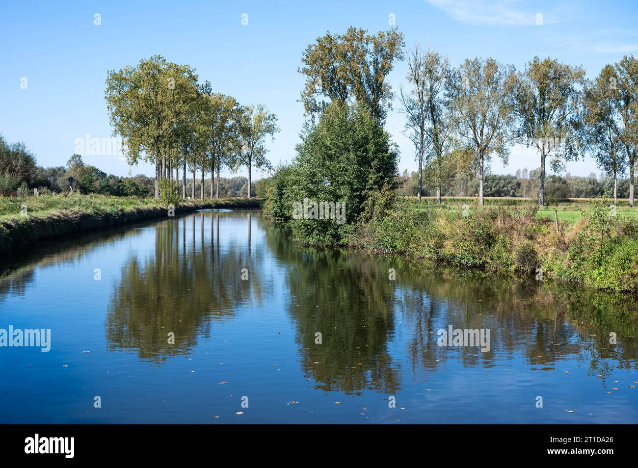 Bäume spiegeln sich im blauen Wasser des Flusses Dender, Zandbergen, Ostflämische Region, Belgien Credit: Imago/Alamy Live News Stockfoto