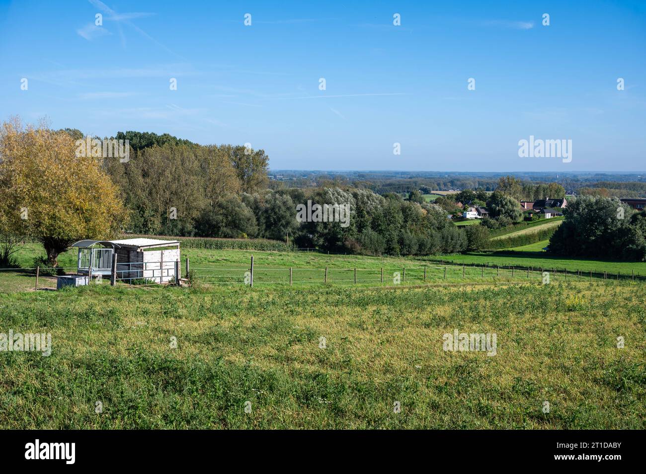 Panoramablick über grüne Hügel und landwirtschaftliche Felder in der flämischen Landschaft um Geraardsbergen, Ostflandern, Belgien, Stockfoto