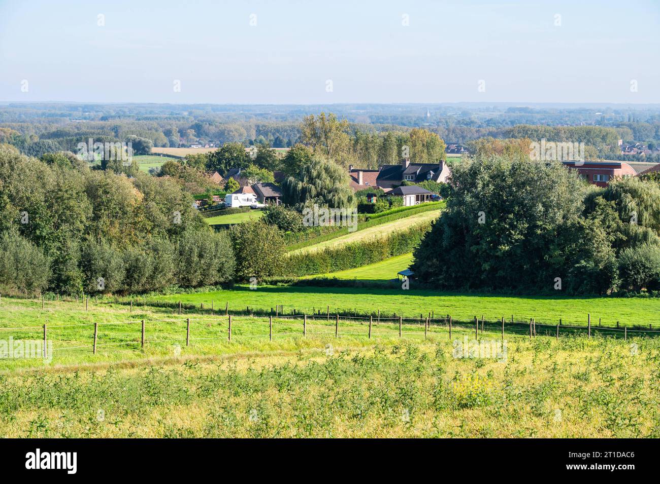 Panoramablick auf grüne Hügel und landwirtschaftliche Felder in der flämischen Landschaft rund um Geraardsbergen, Ostflandern, Belgien Stockfoto