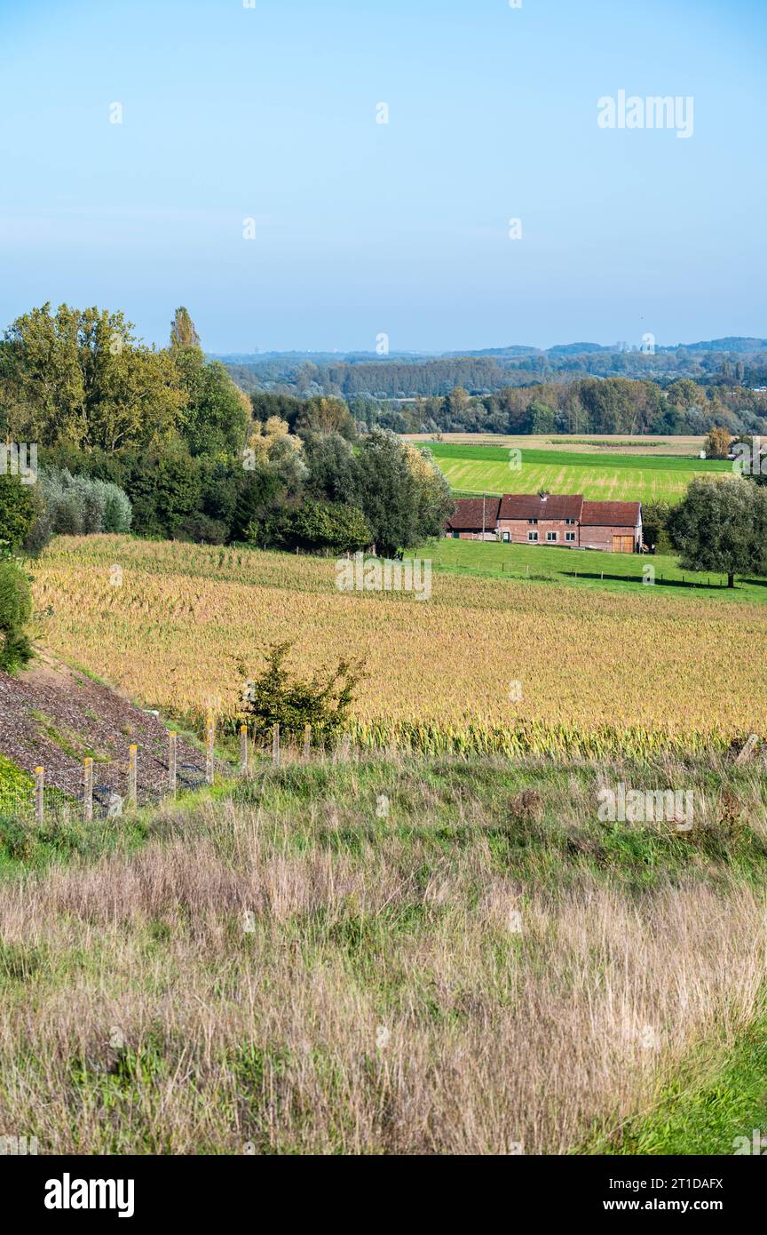 Panoramablick auf grüne Hügel und landwirtschaftliche Felder in der flämischen Landschaft rund um Geraardsbergen, Ostflandern, Belgien Stockfoto