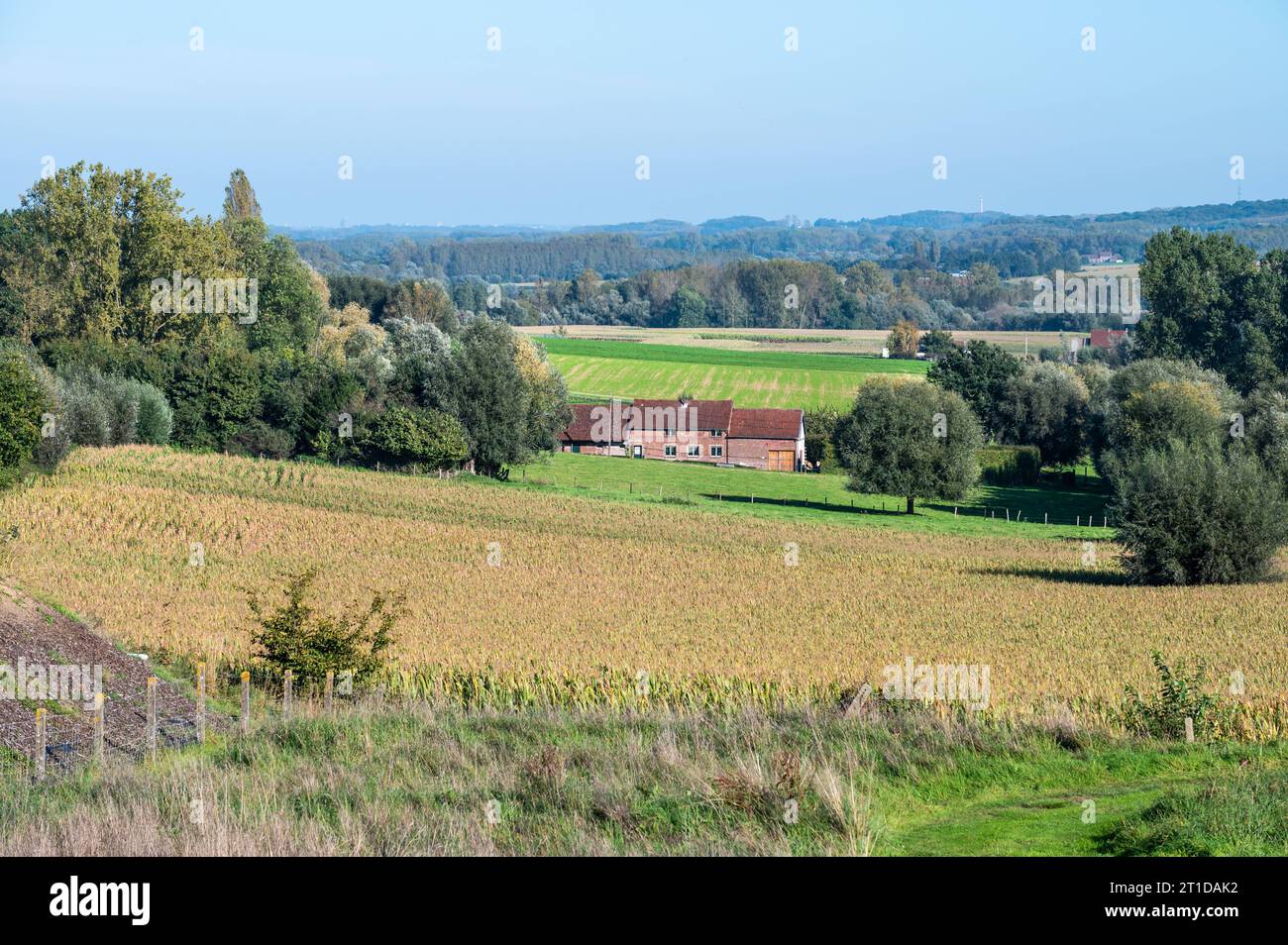 Panoramablick über grüne Hügel und landwirtschaftliche Felder in der flämischen Landschaft rund um Geraardsbergen, Region Ostflandern, Belgien Credit: Imago/Alamy Live News Stockfoto