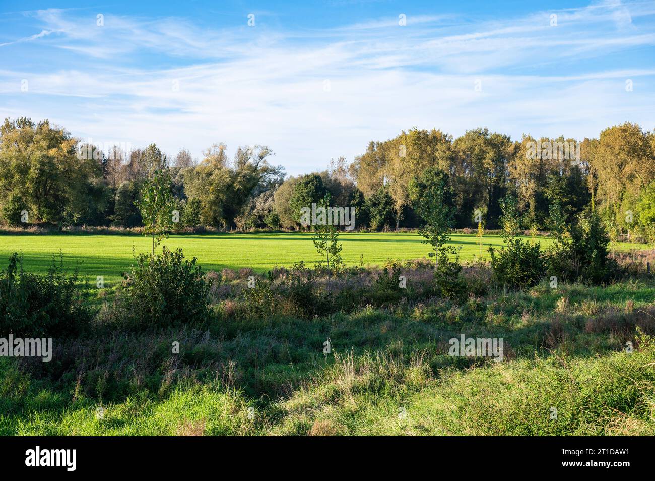 Naturschutzgebiet mit grünen Feldern und Wäldern in der flämischen Landschaft um Aspelare, Ostflämische Region, Belgien Credit: Imago/Alamy Live News Stockfoto