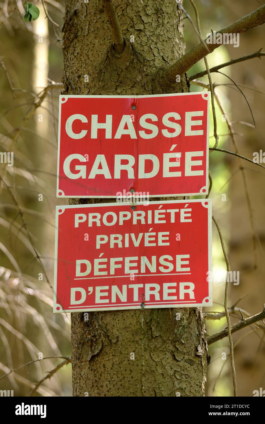 ‚Privat, keine Wilderer‘ und ‚Privateigentum. Kein Betreten“ Schilder auf einem Baum am Eingang zu einem privaten Wald. Stockfoto