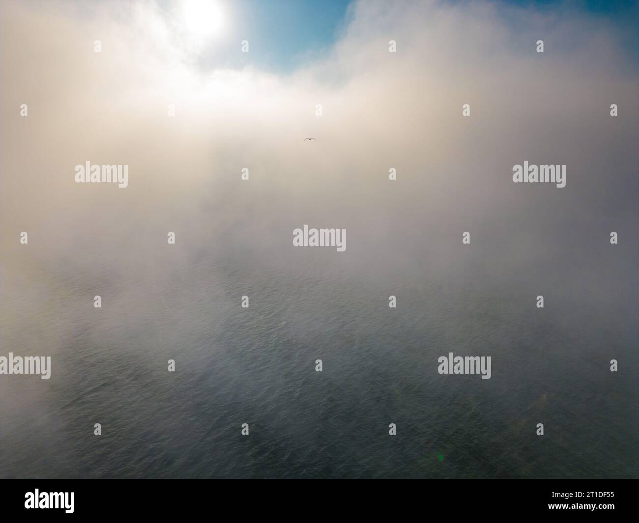 Drohnenflug über das Meer im Nebel am frühen Morgen Stockfoto