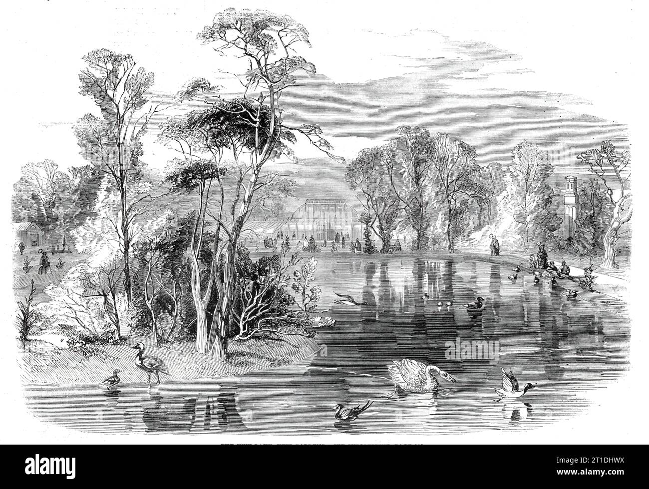 Der neue See, Kew Gardens, [London], 1860. 'Im letzten Jahr wurden große Anstrengungen unternommen, um die Vergnügungsanlagen oder das Arboretum zu verbessern. Neben der fortgesetzten Pflanzung, der Bildung neuer Spaziergänge und der besseren Erhaltung der sehr weitläufigen Rasenflächen gibt es zwei Merkmale in Erwartung, die die Schönheit und die Attraktionen dieses Geländes erheblich erhöhen werden. Der eine ist der neue See, fünf Hektar groß, jetzt fast fertig... dieser See mit seiner wunderschönen bewaldeten Insel liegt auf halbem Weg zwischen dem Palm-House und der Themse, links vom Zion vista. Es wird bis zum Wasser aus dem Tha versorgt Stockfoto