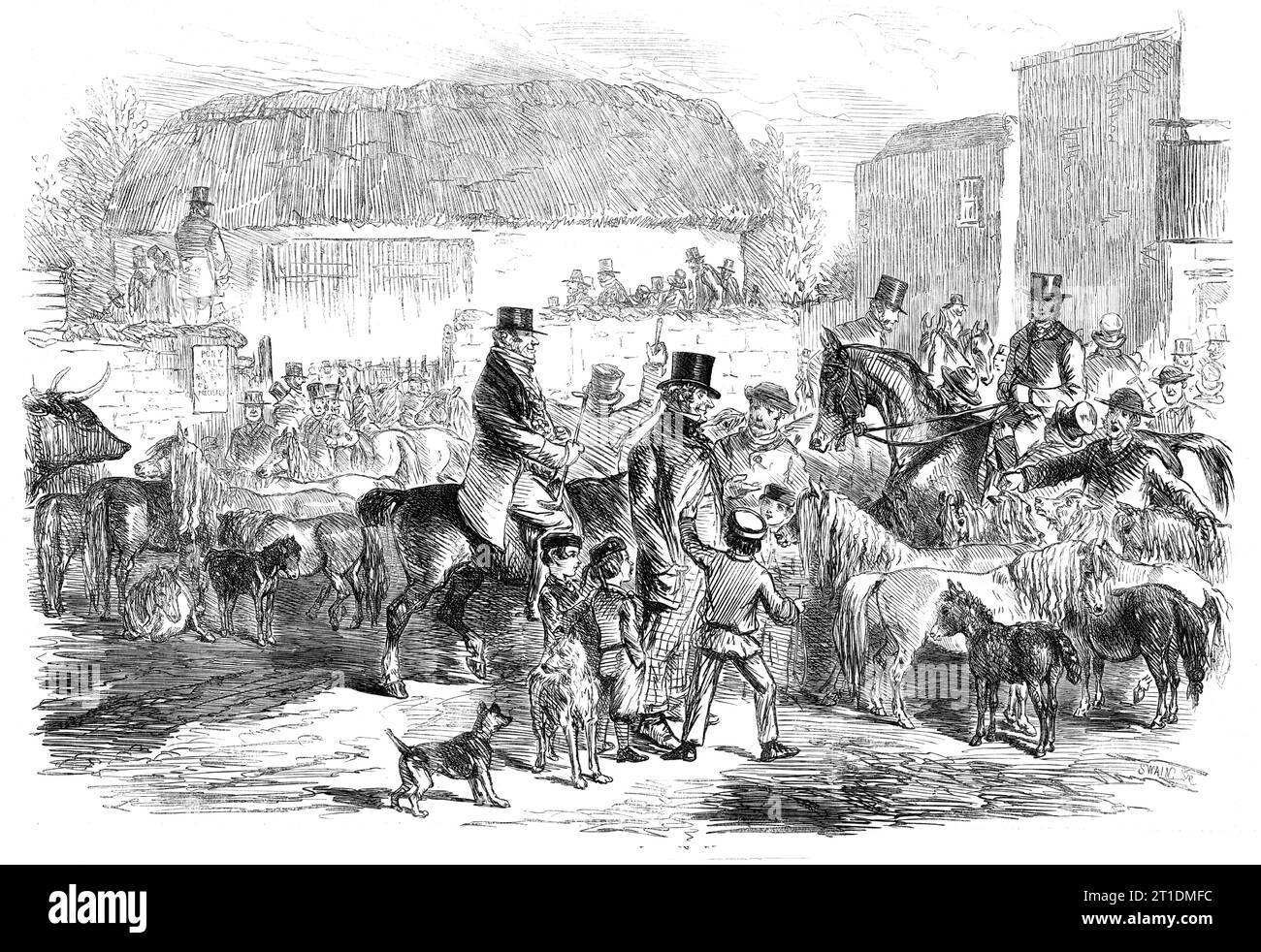 Die Exmoor Pony Fair in Bampton, Devon, 1860. „Am Bampton Messetag zeigt die Hauptstraße der Stadt einen lebhaften und beeindruckenden Anblick, voll wie sie ist mit reichen roten Devon-Rindern, mit Bergschafen und mit Exmoor-Ponys jeden Alters und jeder Größe, die Spezialität der Messe. Diese schönen kleinen Tiere, wild auf den Hügeln um die herum gezüchtet... verdanken die außergewöhnliche Auszeichnung ihrer Rasse, die sich in ihren kleinen, mageren Köpfen, ihren langen, dünnen Mähnen, ihren sehnlichen, schrägen Schultern, Ihre starken Lenden und ihre schnelle, zierliche Aktion, zu den Schmerzen, die Sir Thomas D. vor vielen Jahren bei der Züchtung der Lenden aufnahm Stockfoto