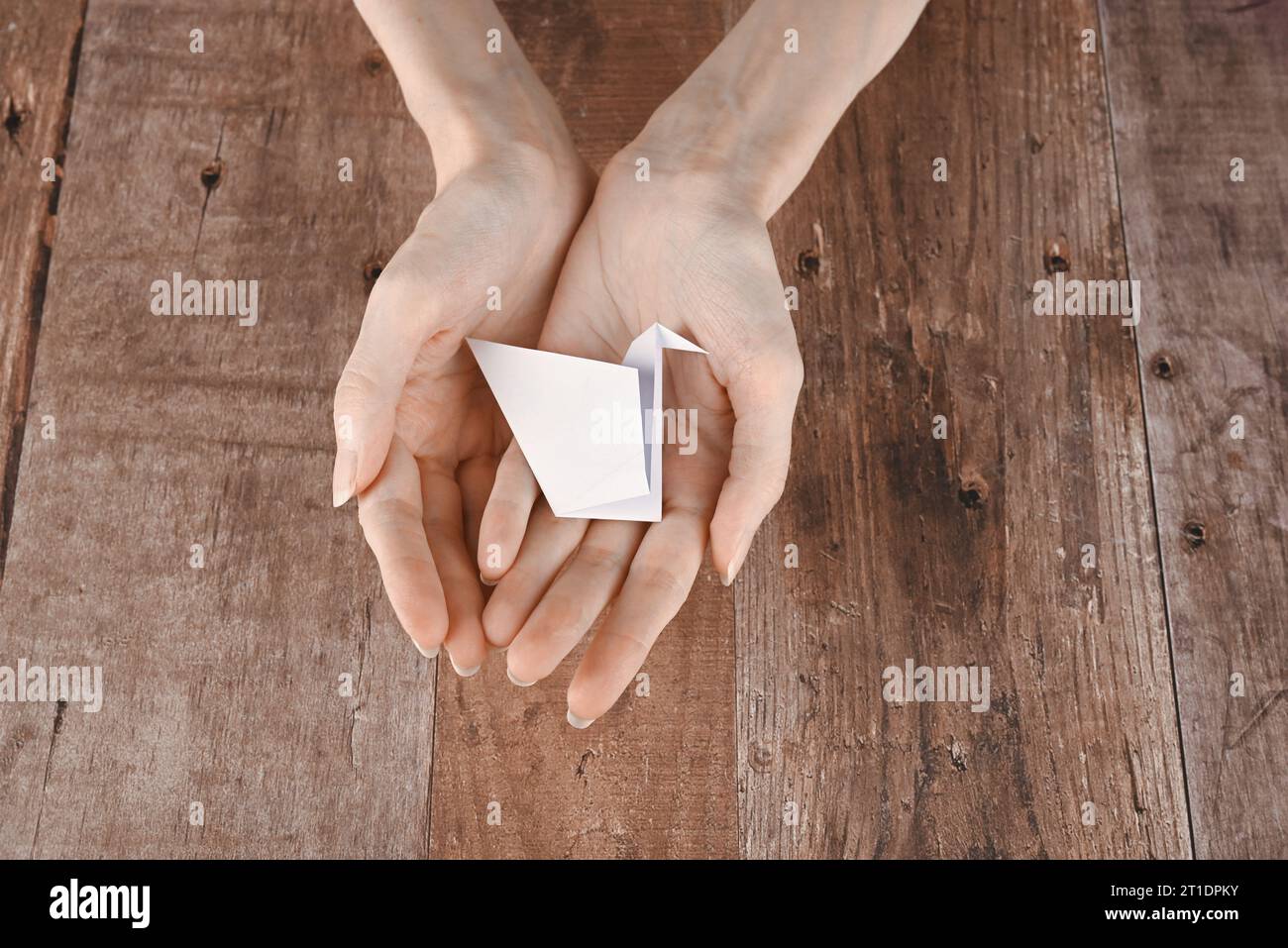 Hände einer älteren Frau falten Origami-Papier. Erstellen eines Origami-Papierkrans, Nahaufnahme Stockfoto