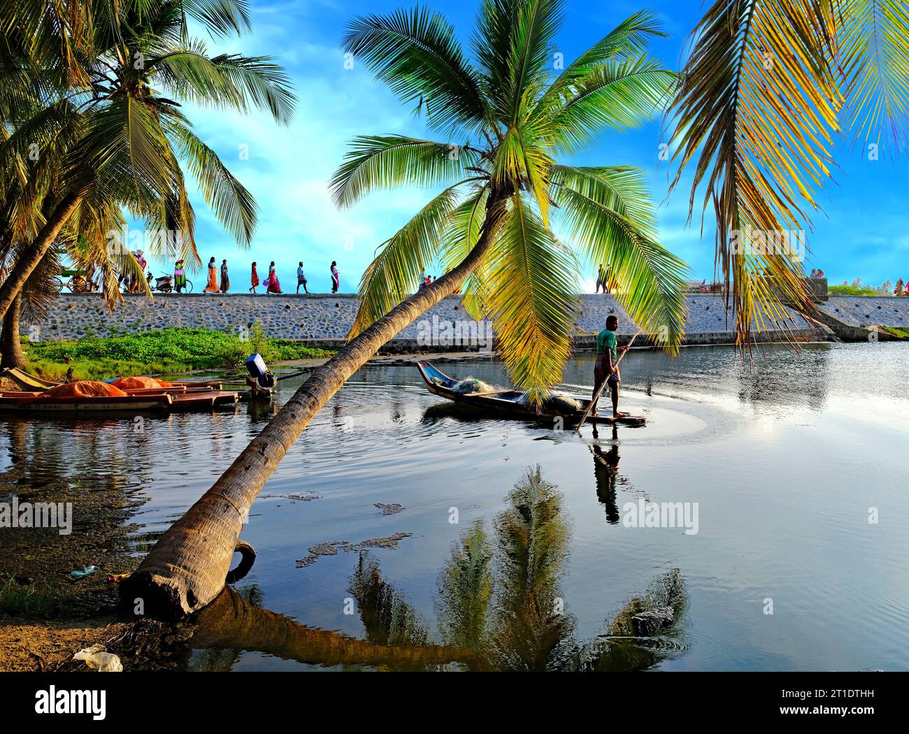 Ein Fischer paddelt seinen Katamaran im Hinterwasser, der hinter gekrümmten Kokospalmen vom Ufer aus zu Wasser gewachsen ist, mit Menschen, die an einer Wand laufen Stockfoto