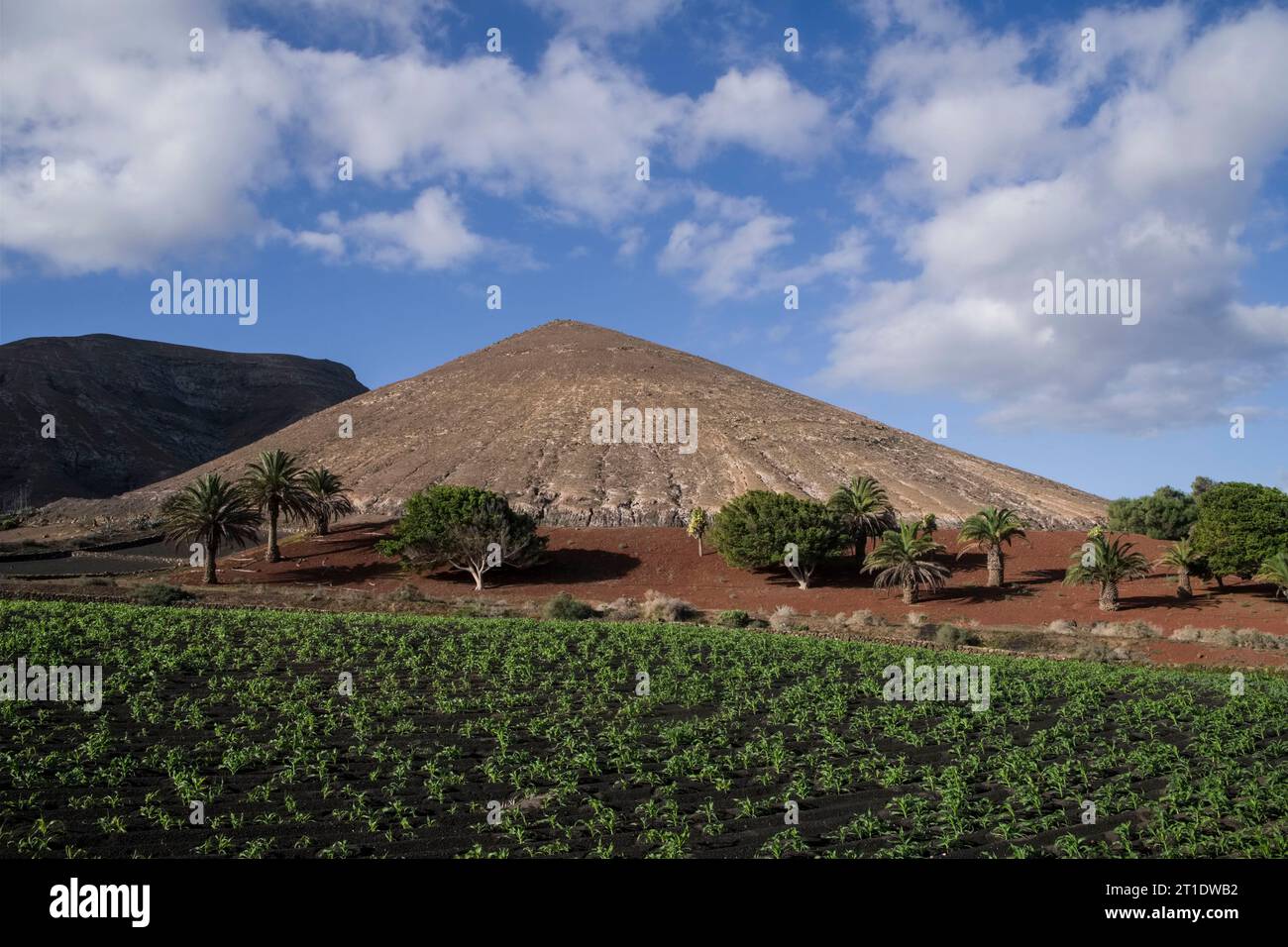 Spanien, Kanarische Inseln, Lanzarote: Landschaft in Yaiza Stockfoto