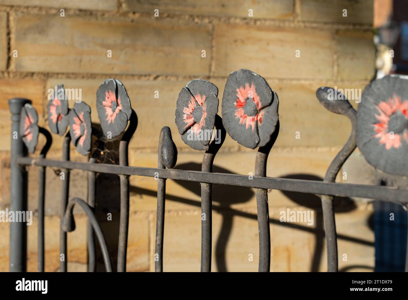 Metallmohn auf einem kunstvollen Zaun Horsham, West Sussex, England, Großbritannien. Stockfoto