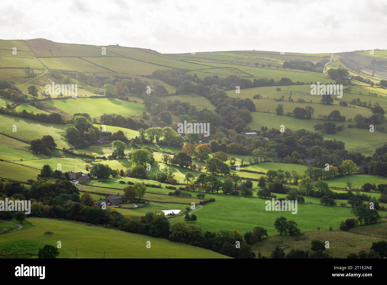 Sonnenlicht auf grünen Feldern in den Hügeln in der Nähe von Macclesfield, Cheshire, England. Stockfoto