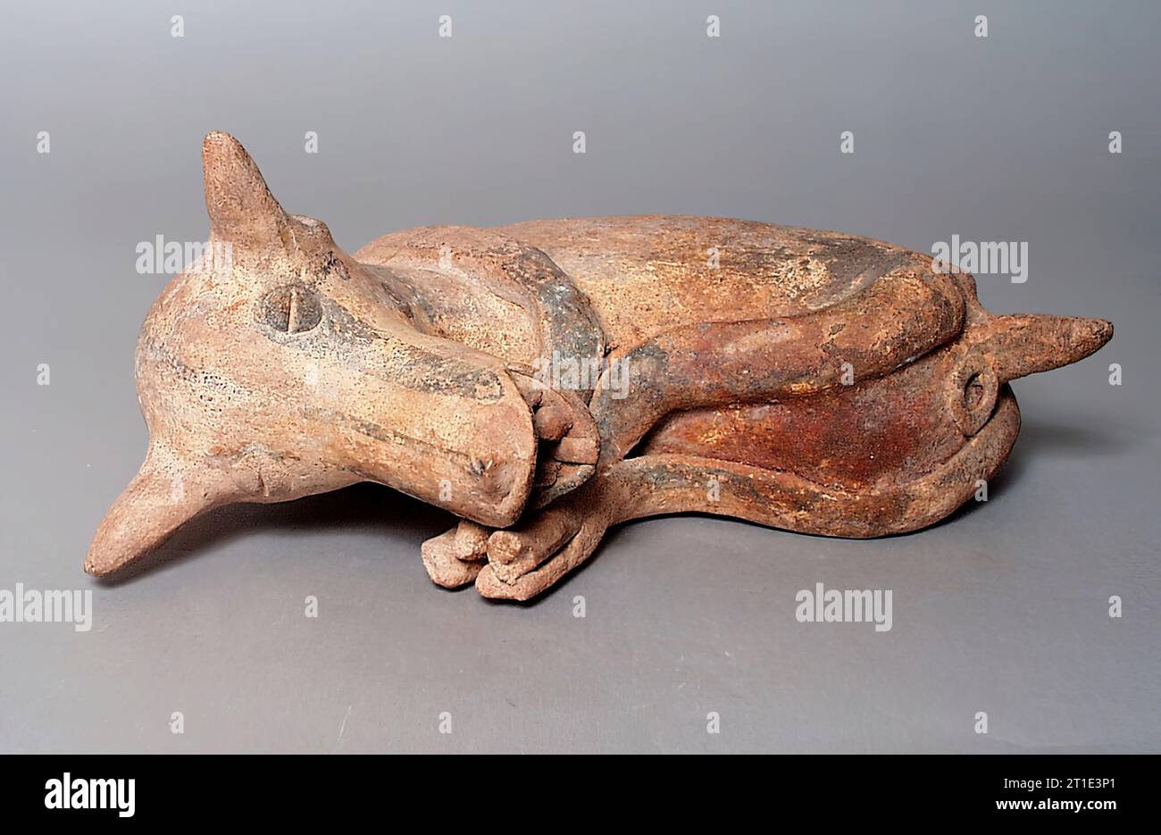 Schlafender Hund, 200 v. Chr.-A.D. 500. Stockfoto