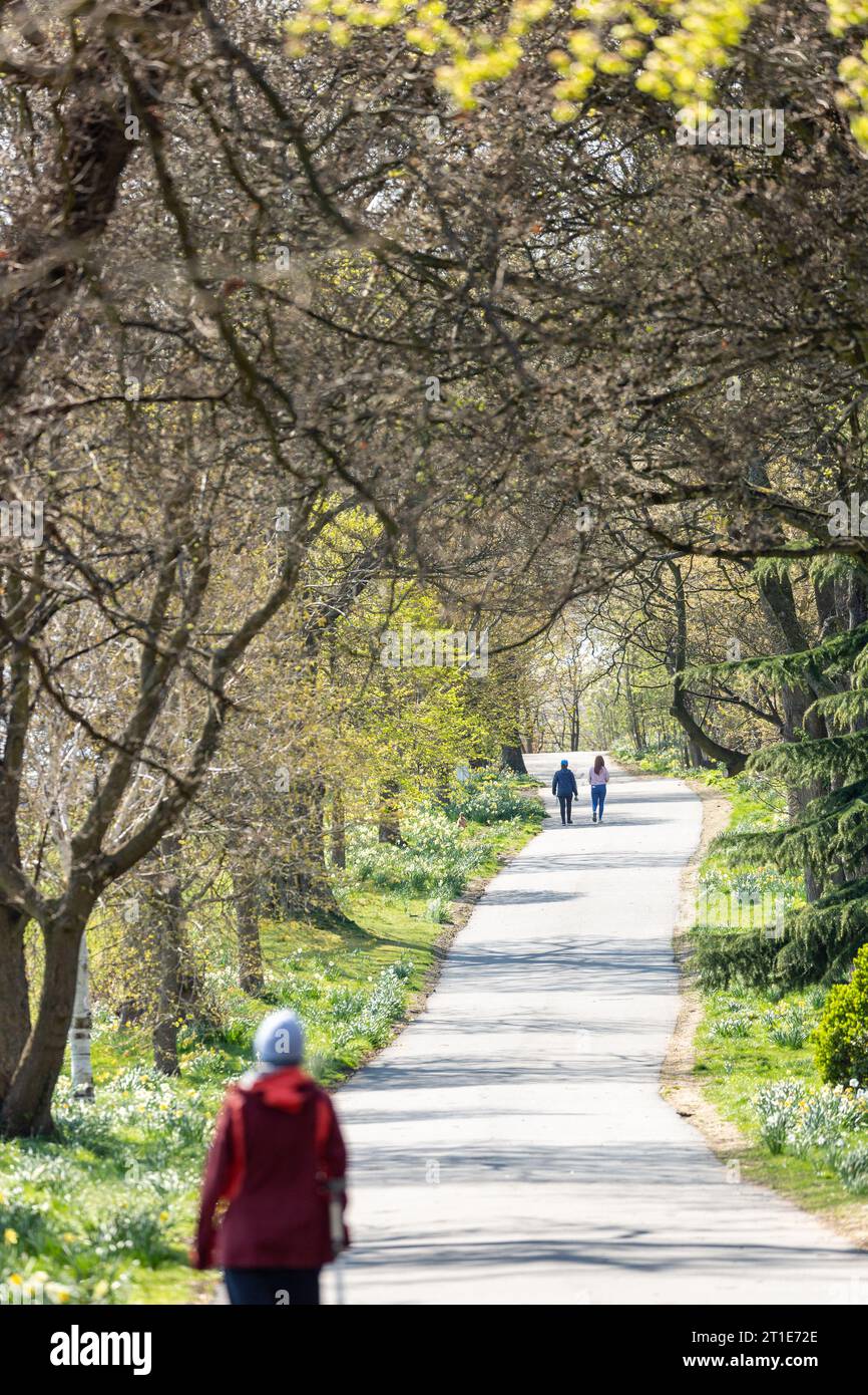 Wandern Sie auf dem Fife Coastal Path von Aberdour nach Dalgety Bay, Fife, Schottland Stockfoto