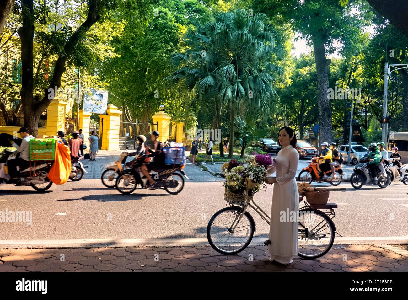 Frau in ao dai in der Phan Dinh Phung Street, Hanoi, Vietnam Stockfoto