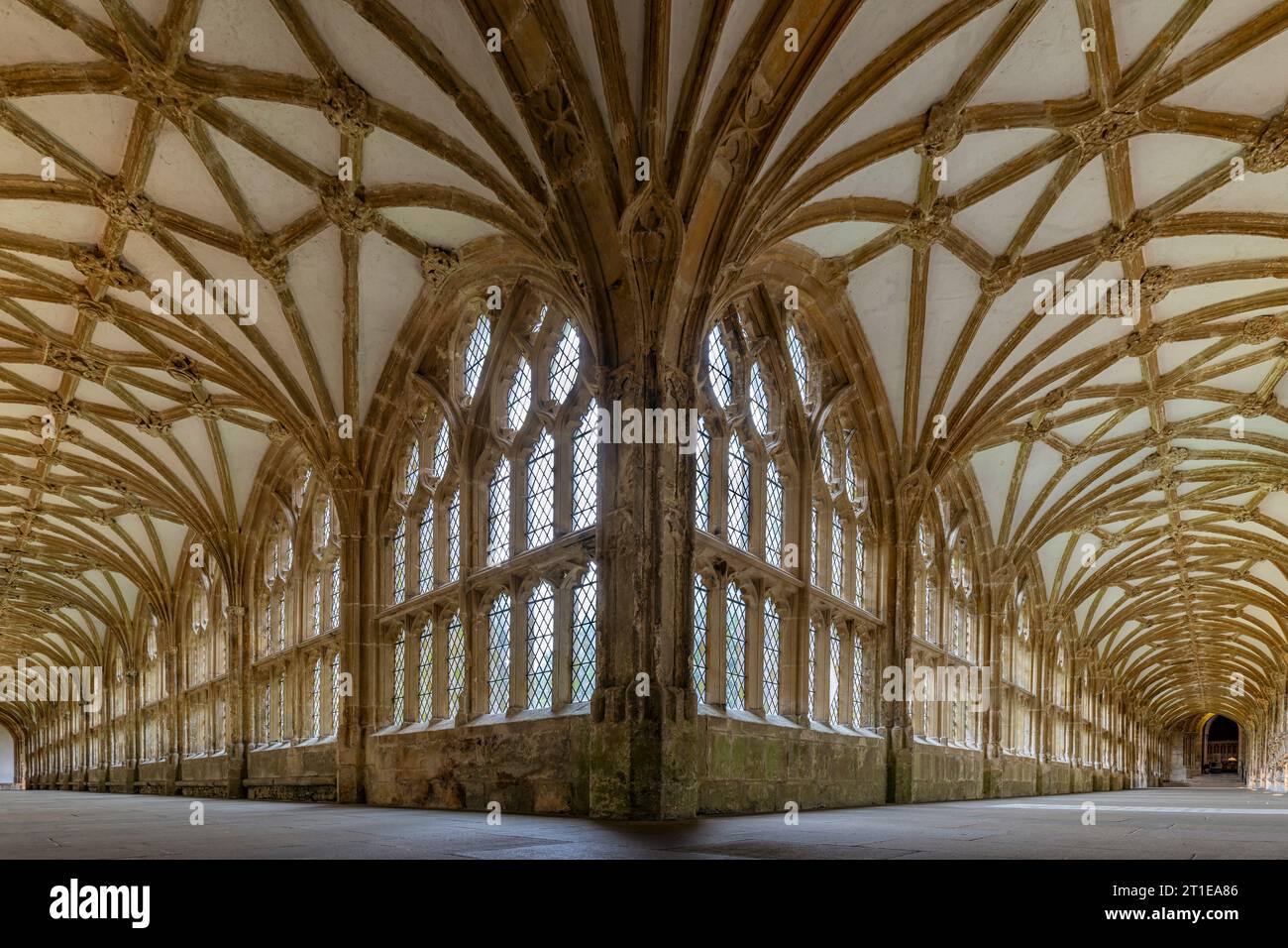 Tiefer, weiter Blick auf die herrlichen Kreuzgänge der Wells Cathedral in Somerset Stockfoto