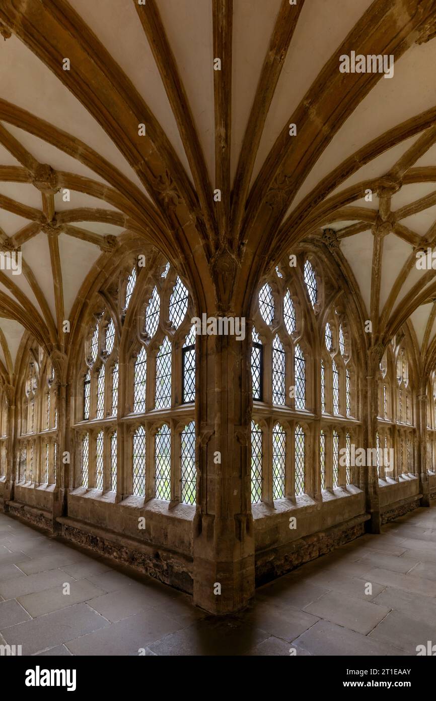 Teil des prächtigen Kreuzgangs, der um 1500 in der Wells Cathedral in Somerset erbaut wurde Stockfoto