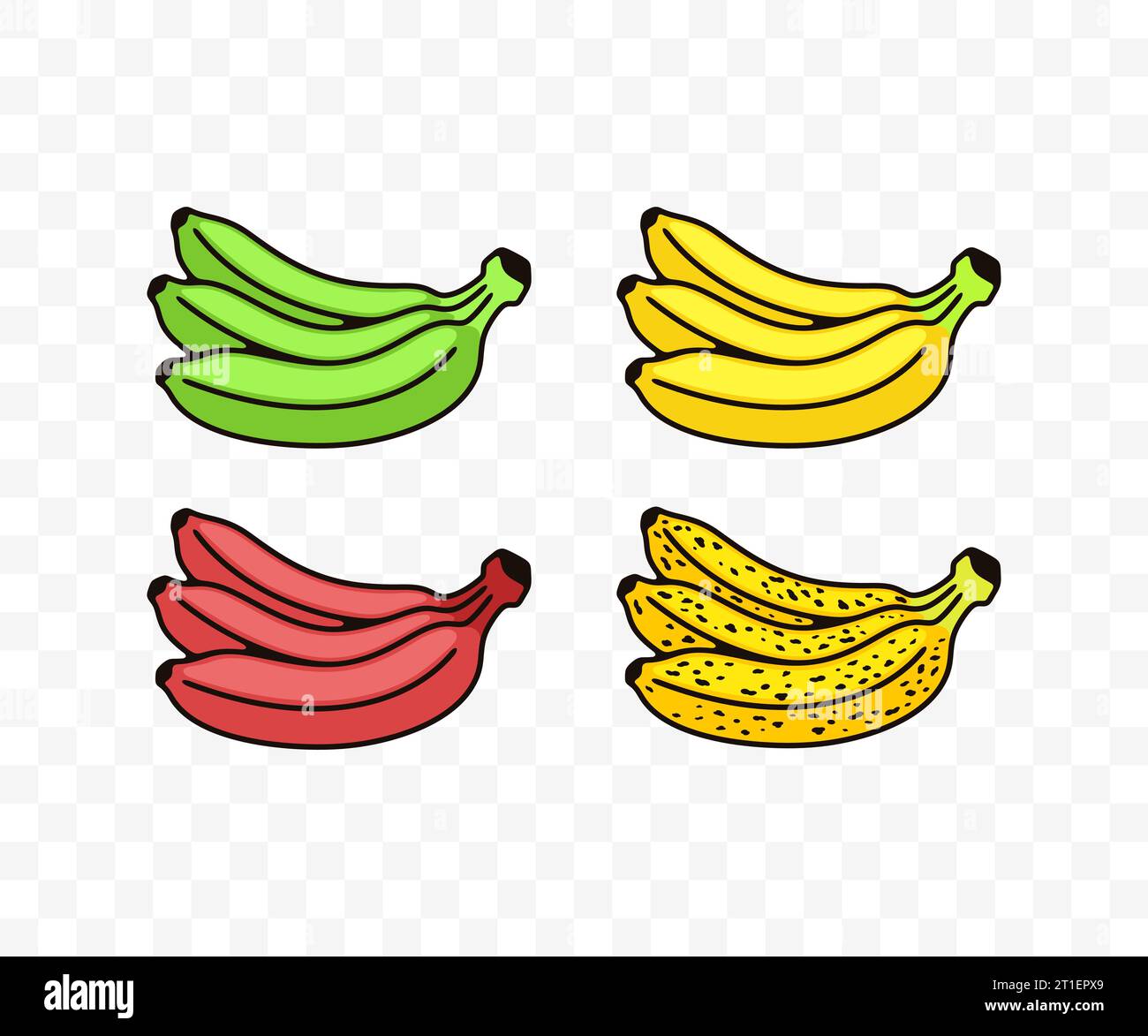 Bananen, grün, gelb, rot, gefleckt oder verdorben, farbiges Grafikdesign. Obst, fruchtig, Lebensmittel, Mehl, Ernährung und Natur, Vektordesign Stock Vektor