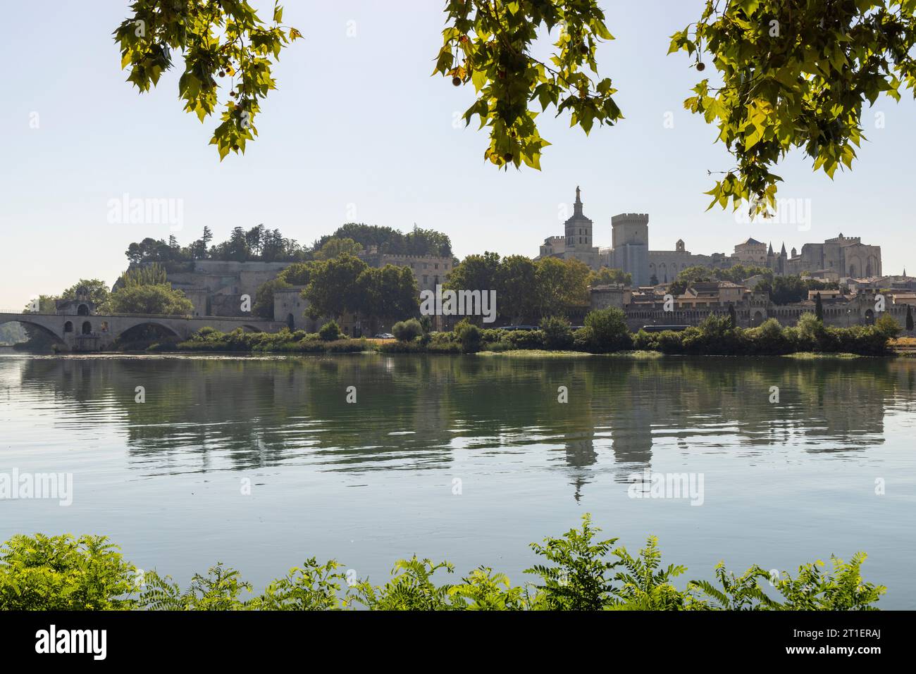 Die mittelalterliche Stadt Avignon ist ein UNESCO-Weltkulturerbe und eine beliebte Touristenattraktion im Südfrankreich. Stockfoto