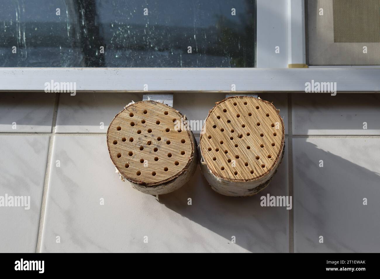 Löcher in Holz wie ein Bienenhotel Stockfoto