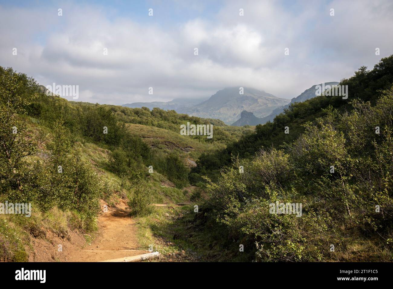 Þórsmörk beliebtes Camping- und Wanderziel in Island Stockfoto