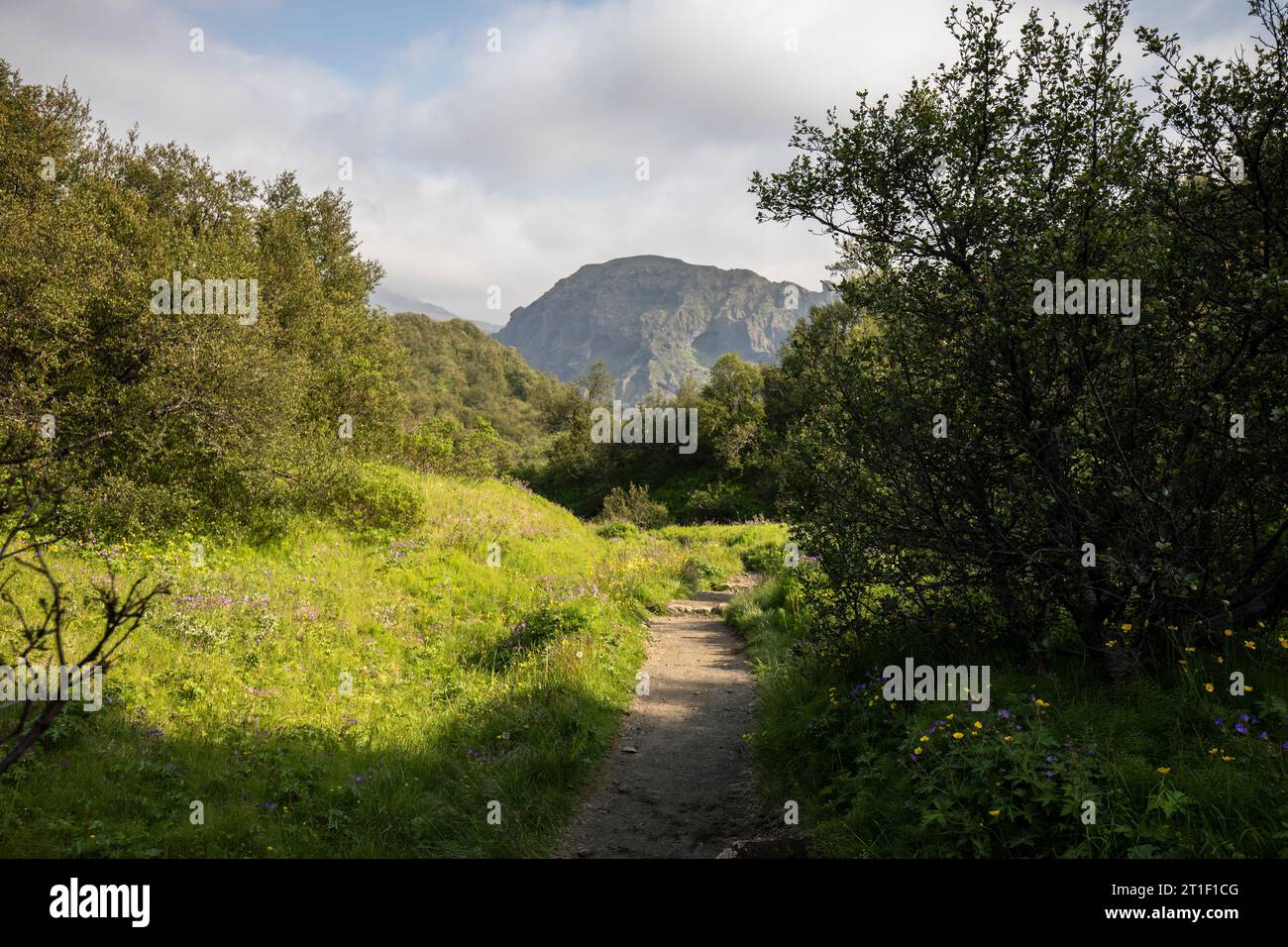 Þórsmörk beliebtes Camping- und Wanderziel in Island Stockfoto