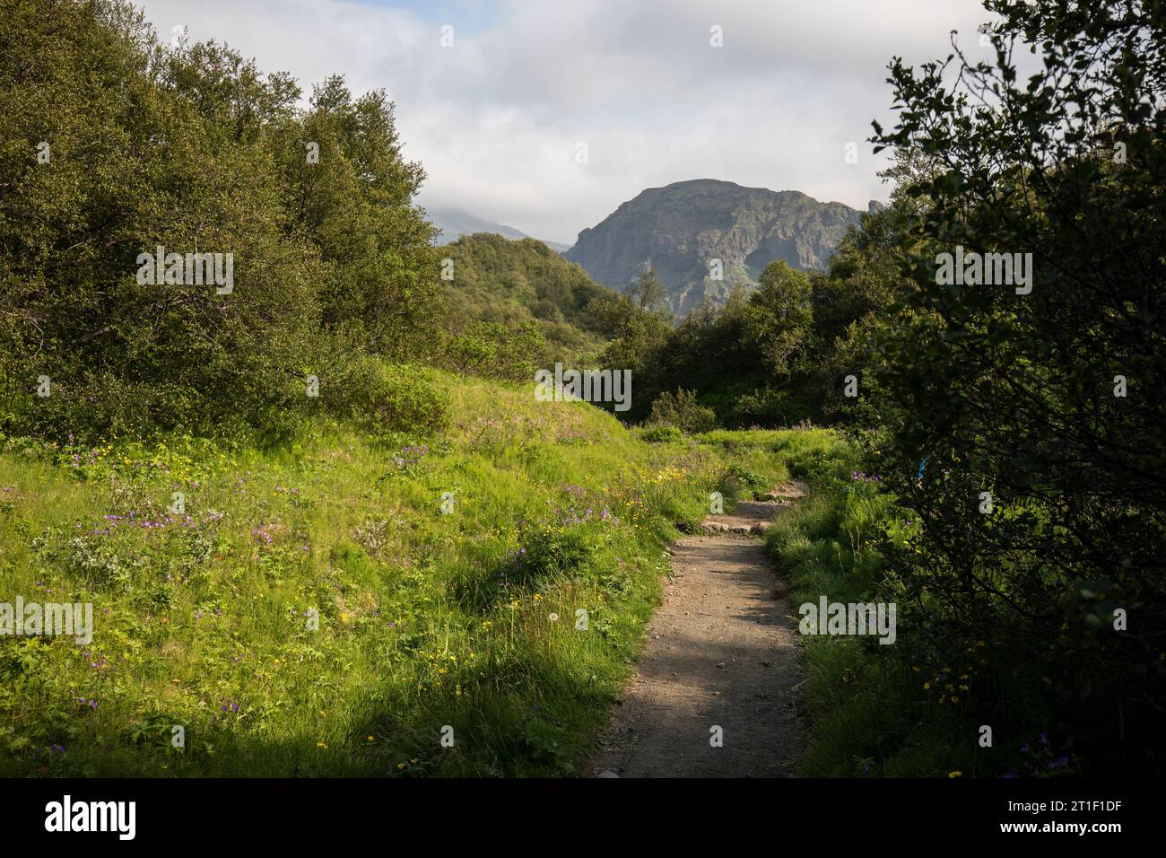 Þórsmörk beliebtes Camping- und Wanderziel in Island Stockfoto