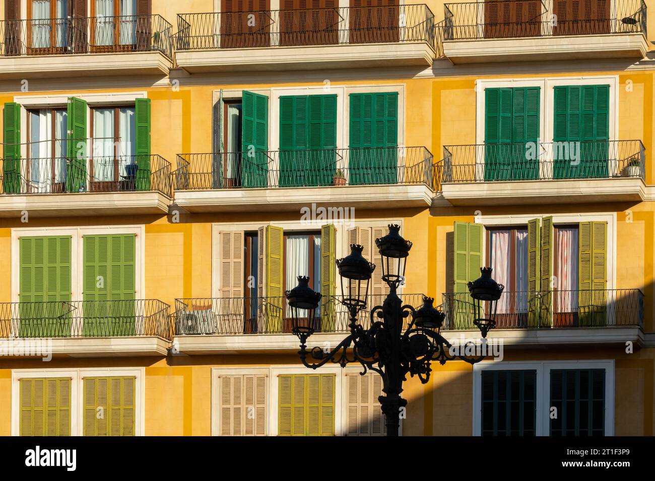 Blick auf die gelben Fassaden alter Gebäude mit Balkonen und grünen Holzläden auf der Plaza Mayor von Palma (Mallorca, Spanien) bei Sonnenuntergang Stockfoto