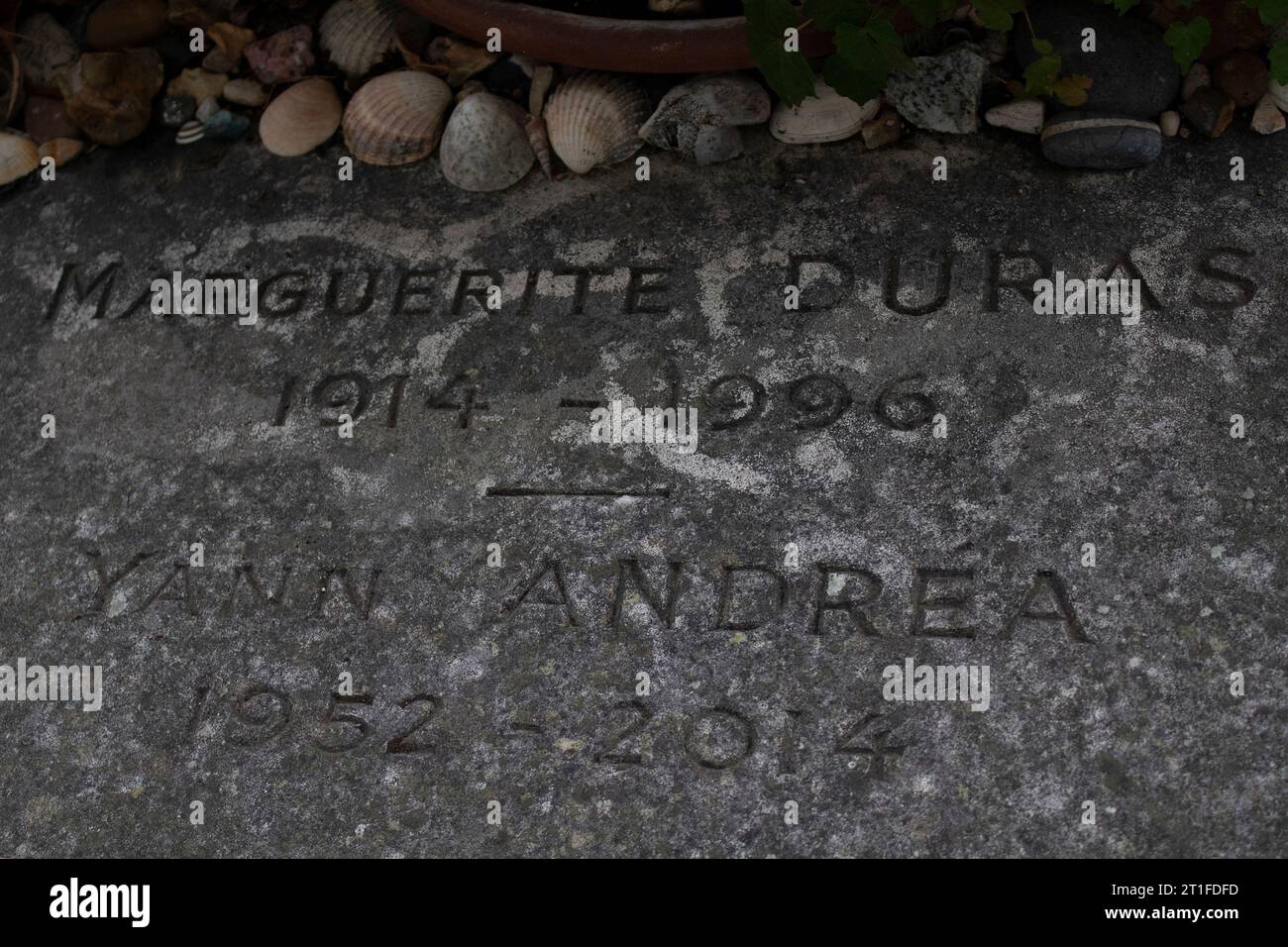Das Grab des französischen Schriftstellers und Dramatikers tMarguerite Duras mit Stifttöpfen Montparnasse Friedhof, Cimetière du Montparnasse, 14. Arrondissement Stockfoto