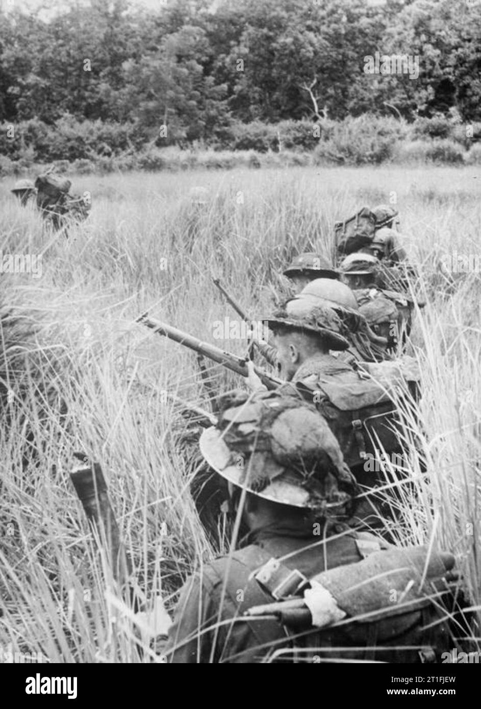 Männer der Royal Welsh Fusiliers, 29. Infanterie-Brigade, 36. Infanterie-Division, nutzen Reisfelder, um japanische Positionen um Pinbaw, 1944, zu decken. Stockfoto