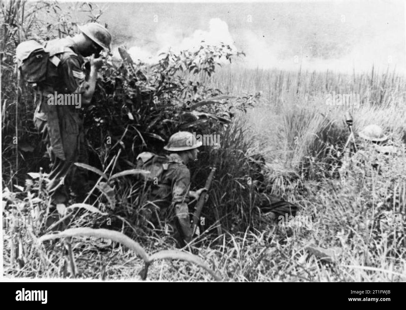 Die britische Armee in Birma 1944 einen 3-Zoll Mörser Team mit den Reisfeldern Tarnung während angreifenden japanischen Positionen, November 1944. Stockfoto