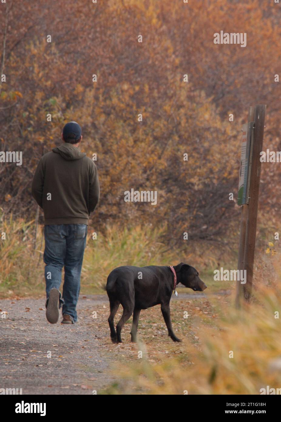 Mann und Hund auf einem Herbstspaziergang Stockfoto