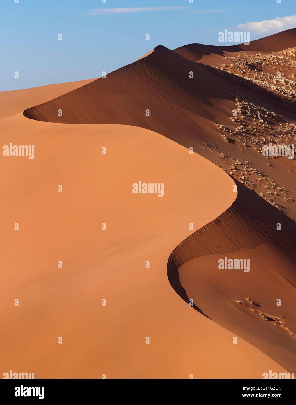 Sanddünen im Namib-Naukluft-Nationalpark in der Namib-Wüste, Namibia. Stockfoto