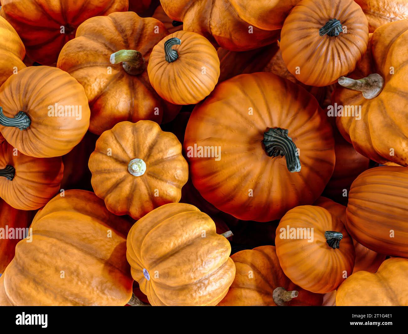 Haufen orangener Kürbisse in unterschiedlicher Größe, Schuss von oben Stockfoto
