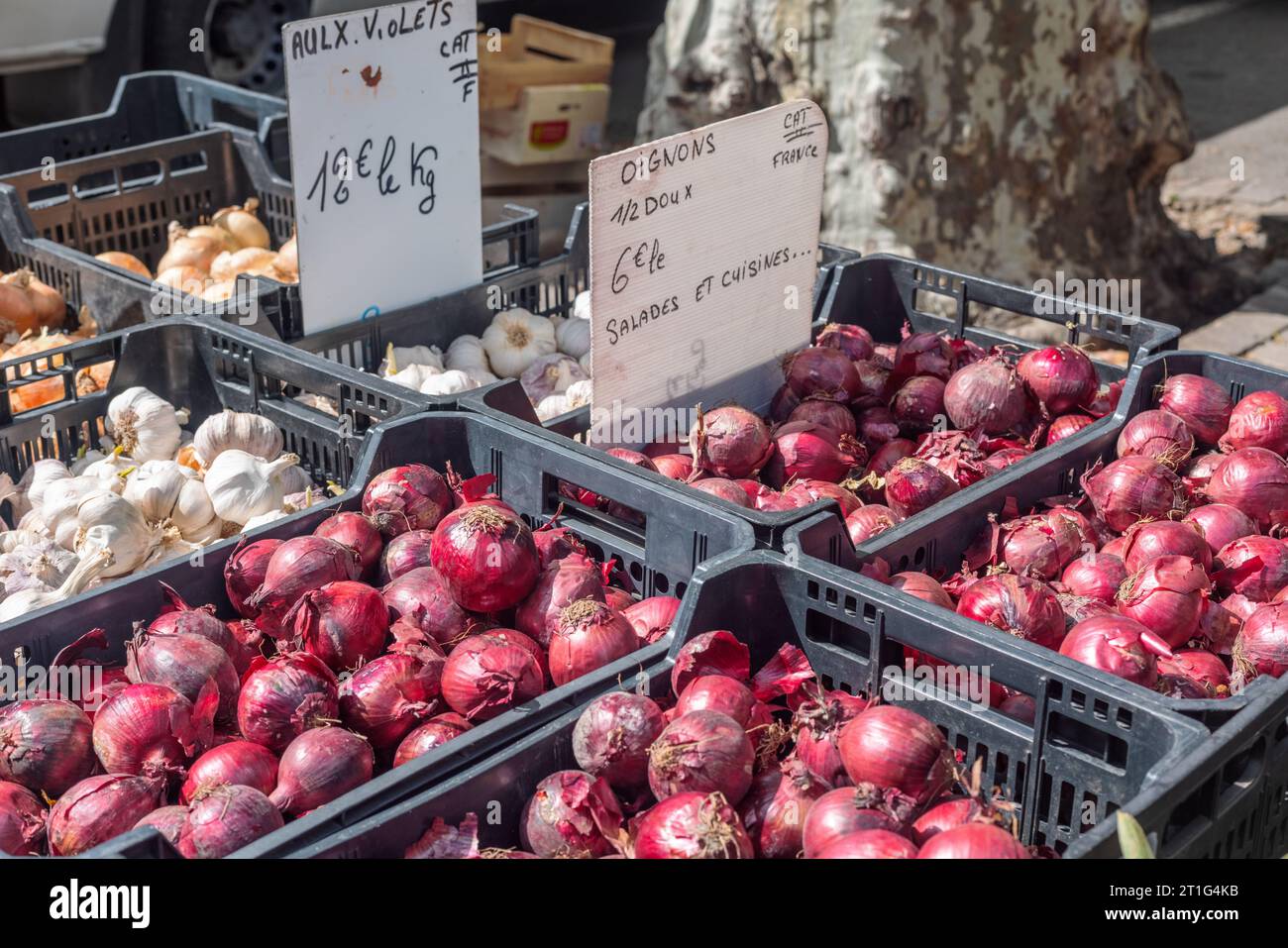 Rote Zwiebeln, Knoblauchzwiebeln und weiße Zwiebeln zum Verkauf in schwarzen Kunststoffkisten auf dem Freiluftmarkt am Samstag in Arles, Provence, Südfrankreich. Stockfoto