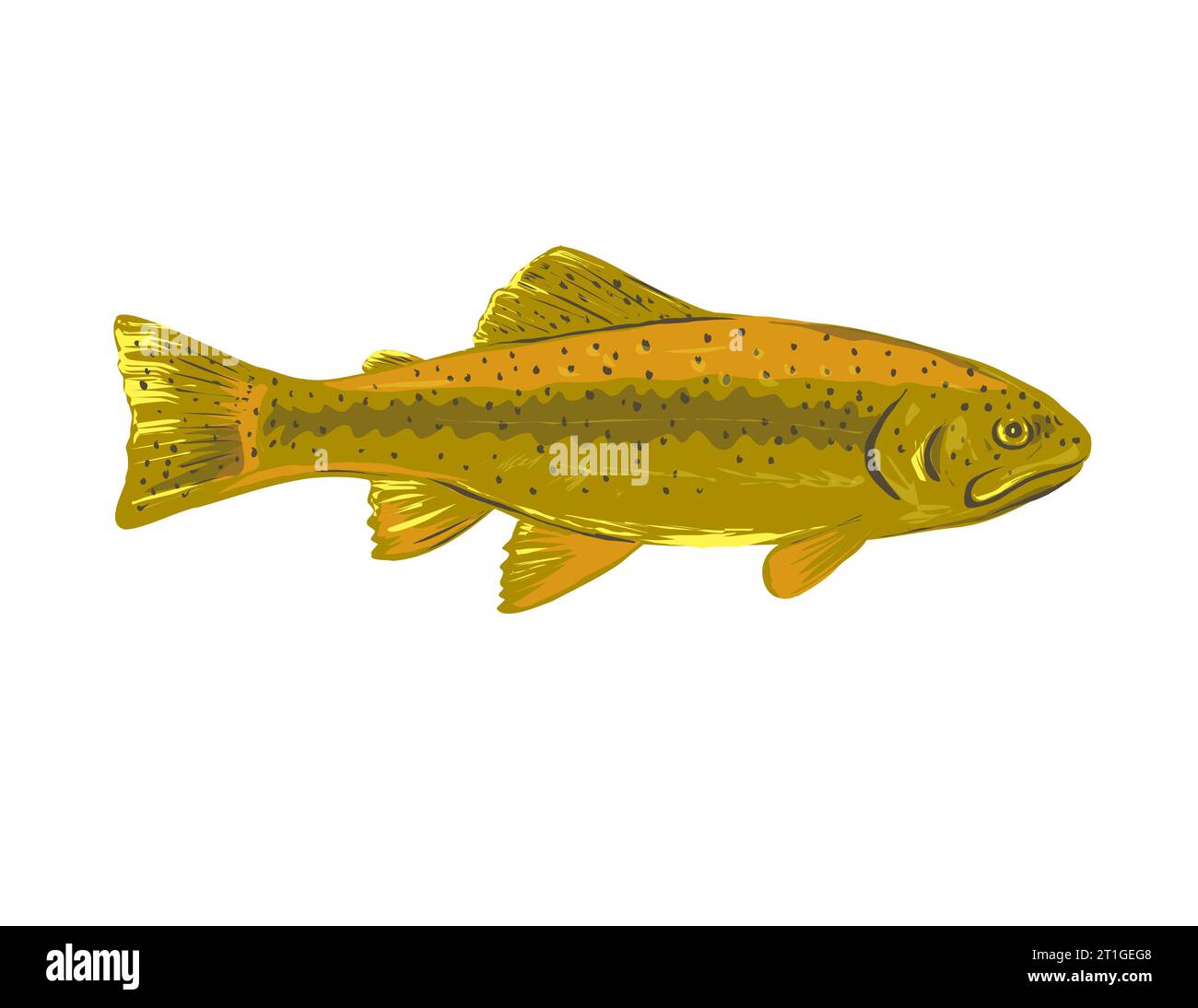 WPA-Plakatkunst einer Gila-Forelle oder Oncorhynchus gilae, eine Art von Salmoniden, die mit der Regenbogenforelle verwandt ist, von der Seite gesehen, gemacht in Works Projekt admini Stockfoto