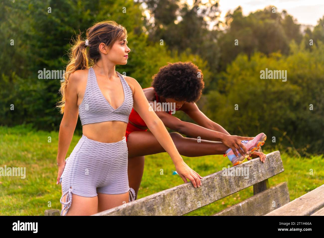 Weißes blondes Mädchen und dunkelhäutiges Mädchen mit Afro-Haar, das sich streckt, bevor es im Park Sport gibt. Gesundes Leben, Fitness, Fitness Mädchen Stockfoto