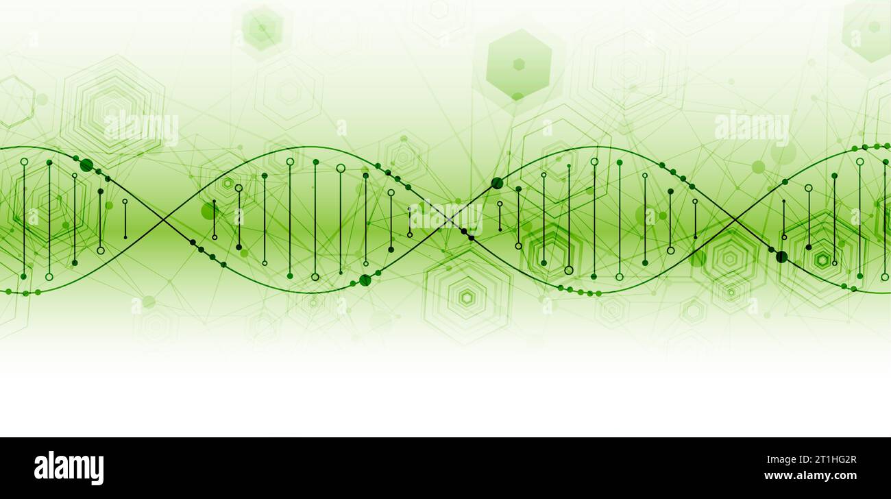 Wissenschaftliche Vorlage, abstrakter Hintergrund mit DNA-Molekülen. Vektorabbildung. Stock Vektor