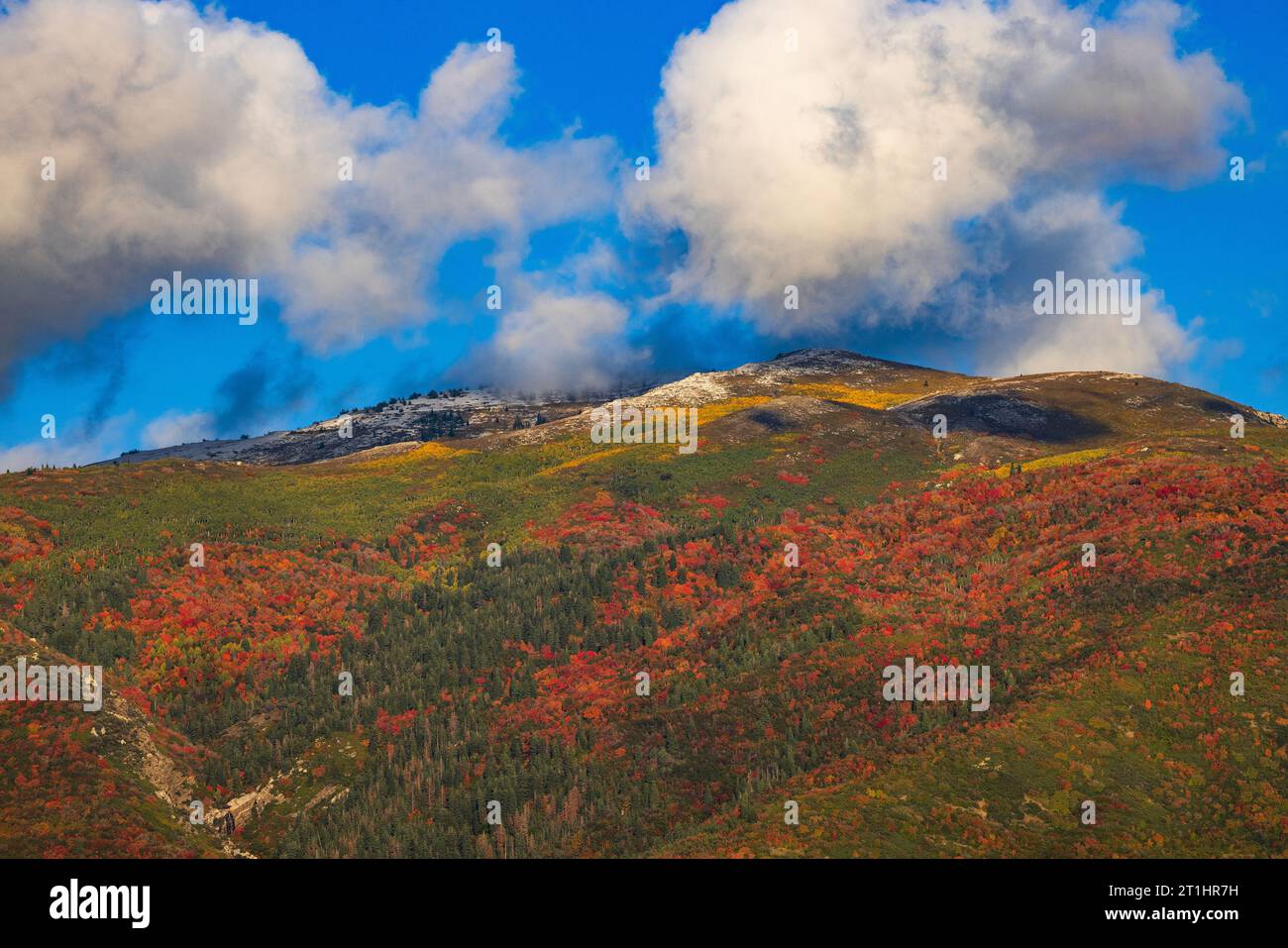 Dies ist ein Blick auf die Wasatch Mountains östlich von Farmington, Utah, mit Herbstfarben: Rot niedriger, gelb höher und eine Staubwolke oben. Stockfoto