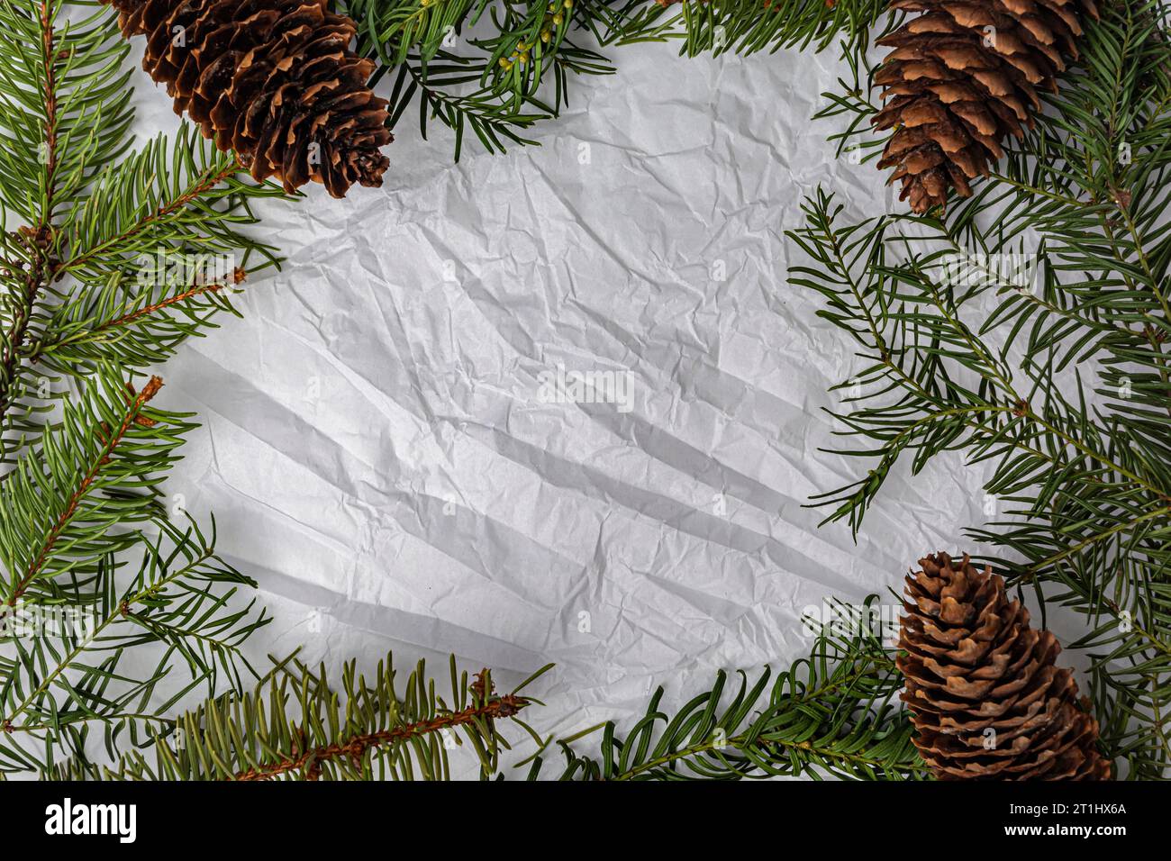 Tannenzweige und Tannenzapfen auf weißem zerknittertem Papier Stockfoto