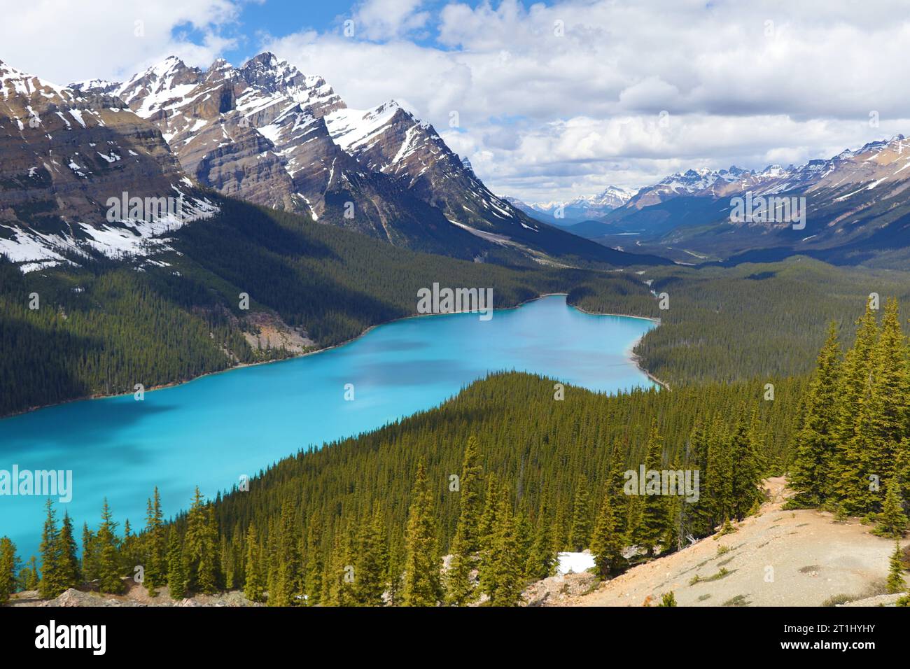 Der türkisfarbene Lake Peyto im Banff National Park, Kanada. Mountain Lake als „Fuchskopf“ ist bei Touristen beliebt. Stockfoto