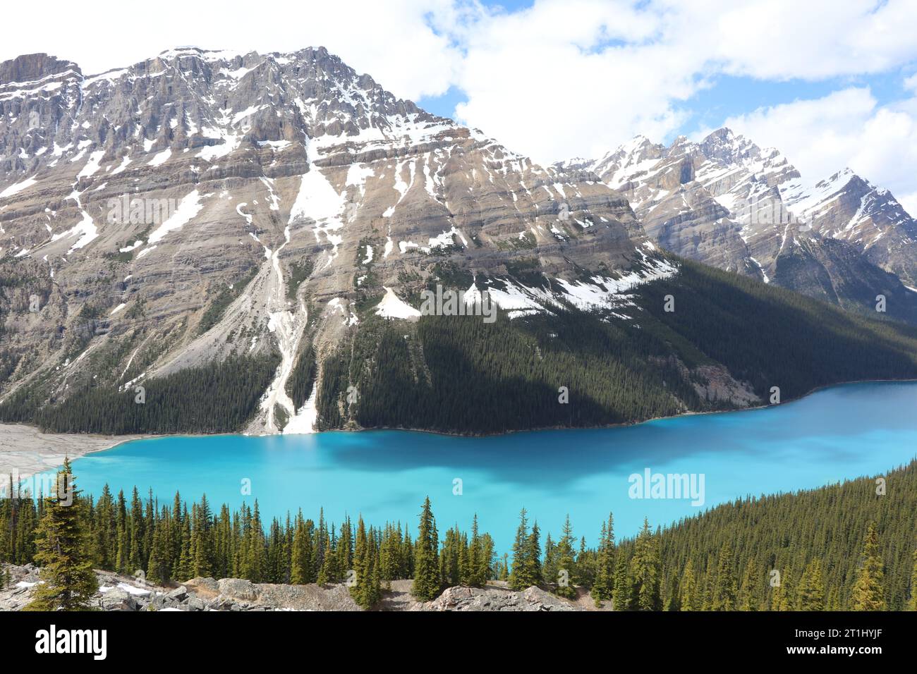 Der Peyto Lake ist ein von Gletschern gespeister See im Banff National Park in den Kanadischen Rocky Mountains. Der See selbst befindet sich in der Nähe des Icefields Parkway. Stockfoto
