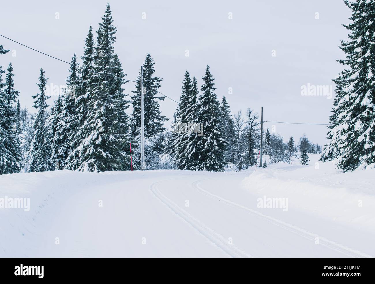 Beschauliche Winterstraße durch verschneite Kiefernwälder in Schweden. Stockfoto