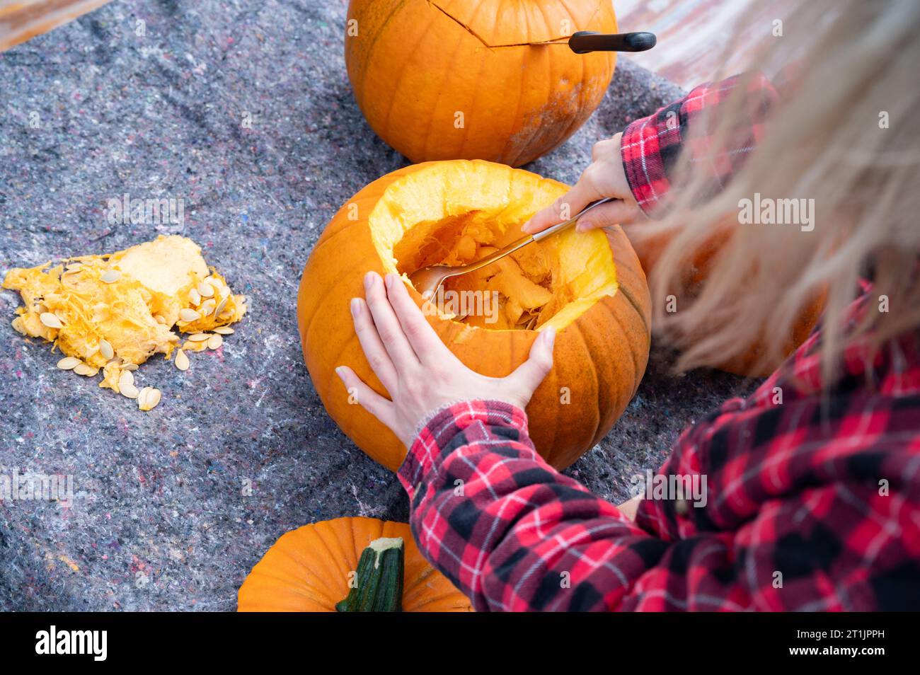 Aushöhlen und Entfernen von Samen von Kürbissen als Dekoration für die Halloween-Saison Stockfoto