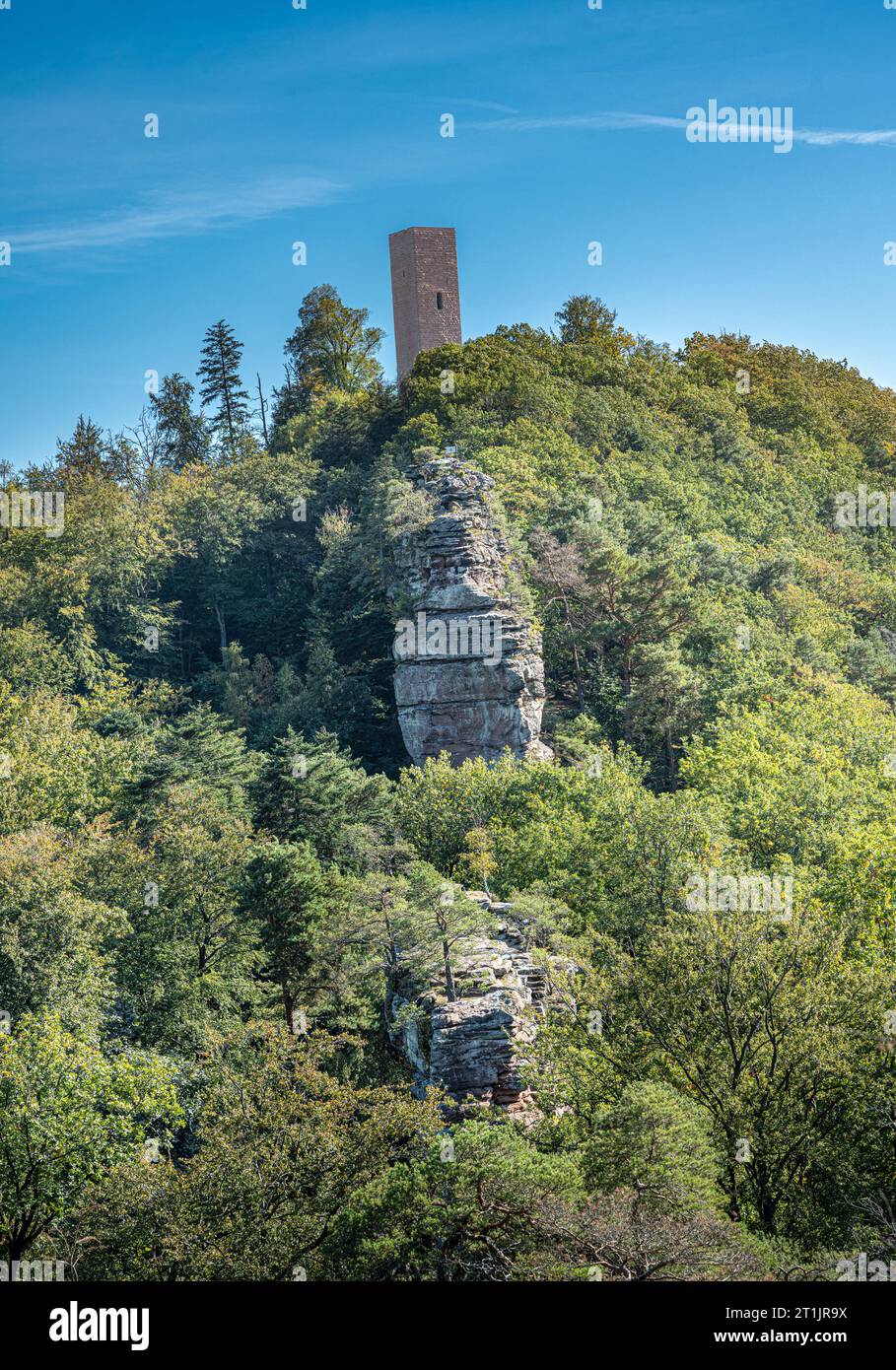 Blick auf Schloss Scharfenberg im Pfälzerwald. Touristenattraktion in Rheinland-Pfalz. Deutschland, Europa Stockfoto